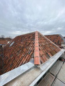 IMG_4526